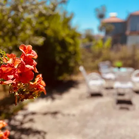 Daire Sofia's House *