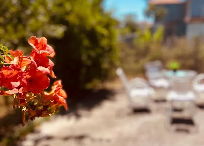 Apartamento Sofia's House *